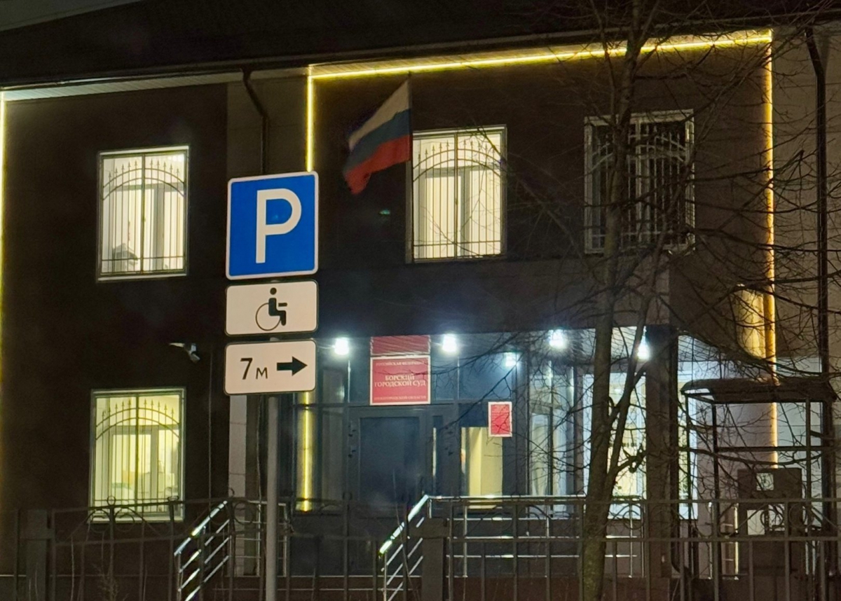 Борчанка перевела мошенникам более 3,7 миллиона рублей с родительских счетов