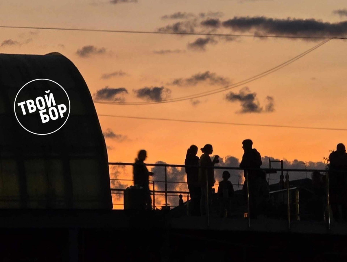 Откуда они берут эти цены?!