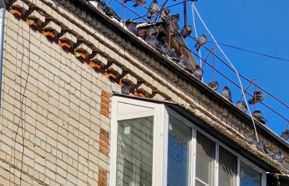 В Госдуме предложили списывать ипотеку за рождение детей