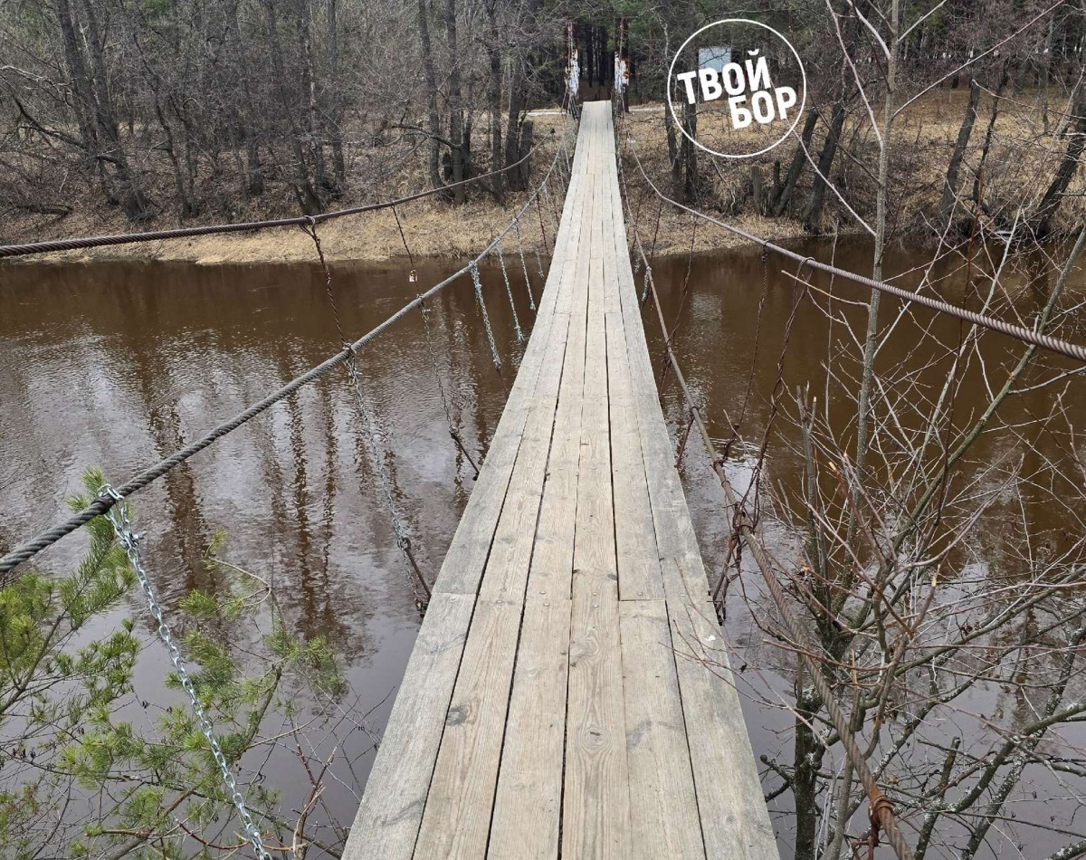 Весенняя погода ждёт борчан