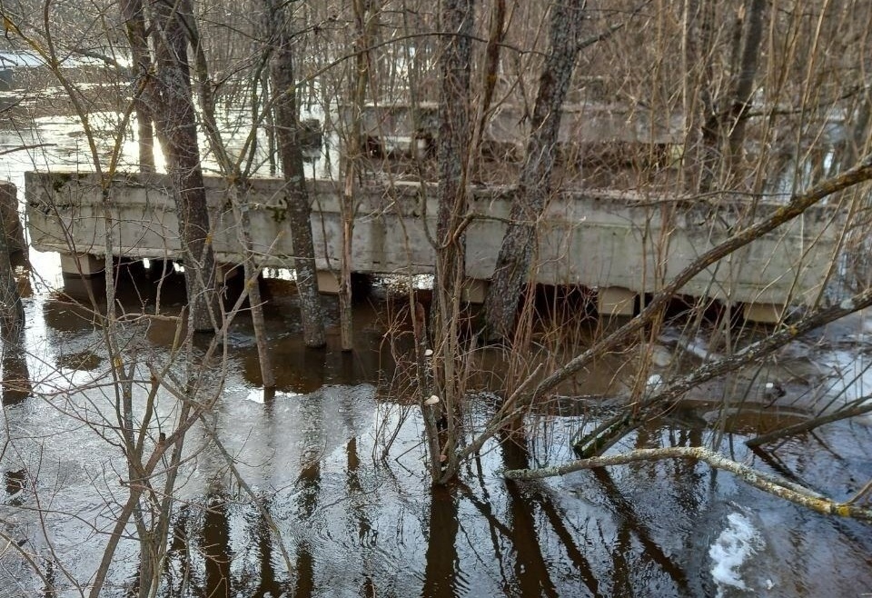 На Бору затопило мост