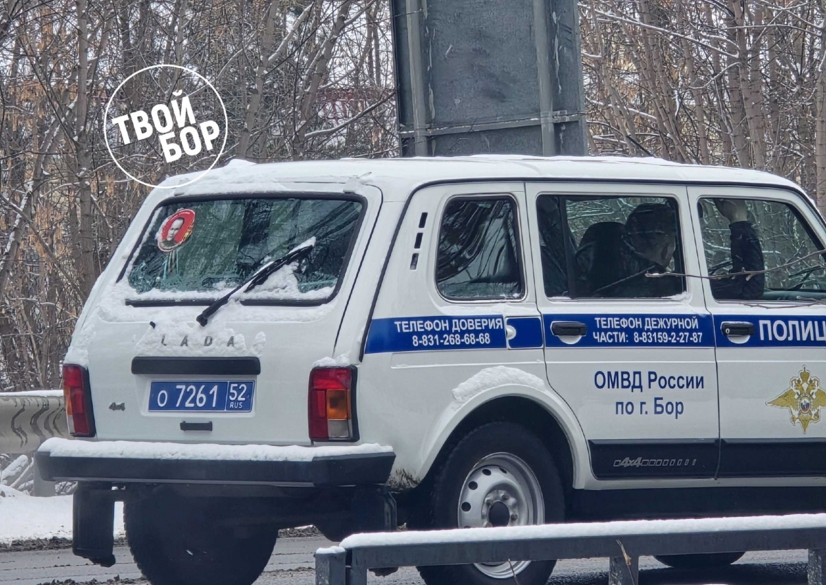 В МВД предупредили о новой схеме мошенников