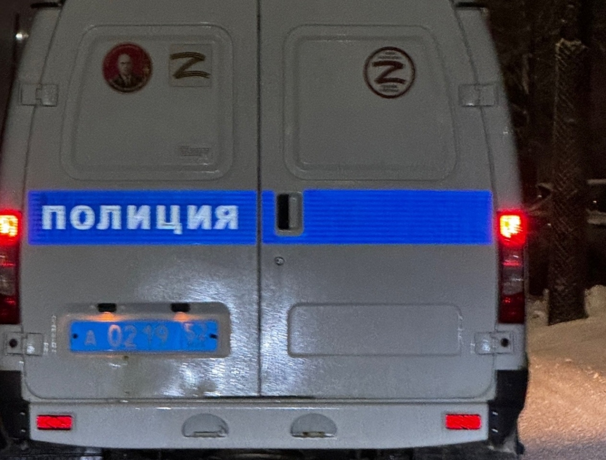 Полиция проводит проверку по факту гибели собаки на Бору