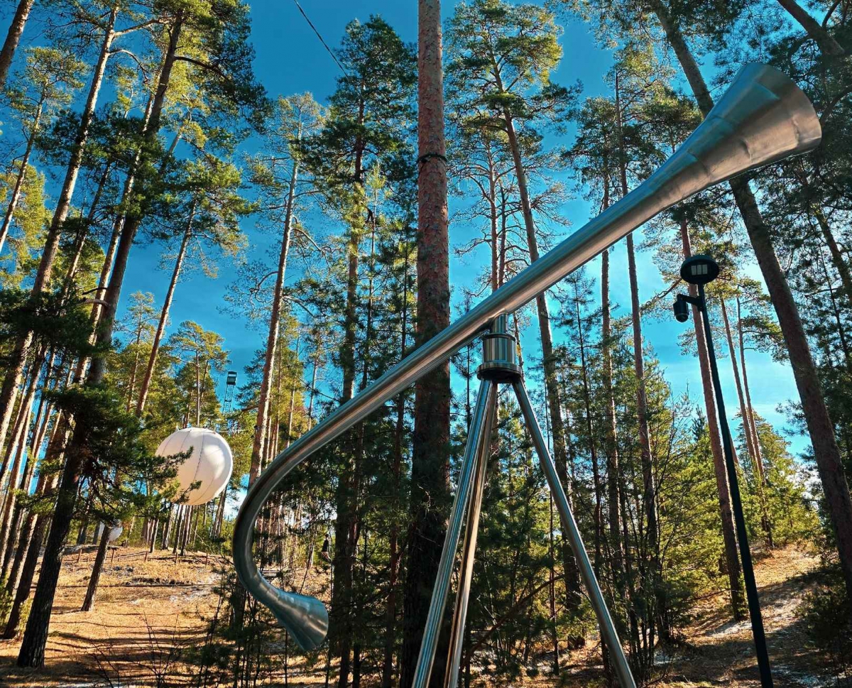 Через 1 день на Бору наступит астрономическая весна