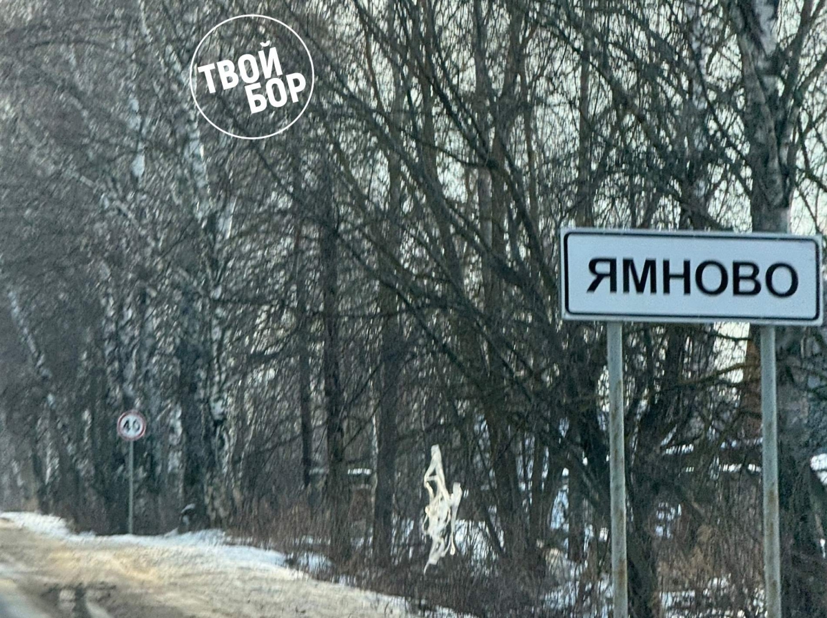 К 80-летию Победы в Великой Отечественной войне в Борском округе пройдёт масштабный ремонт мемориальных мест