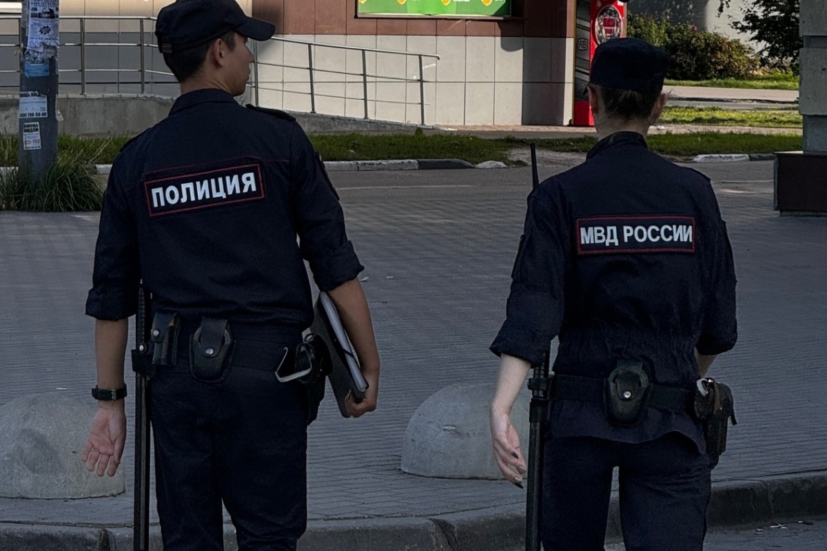 Борчанка помогла брату, на самом деле – мошенникам