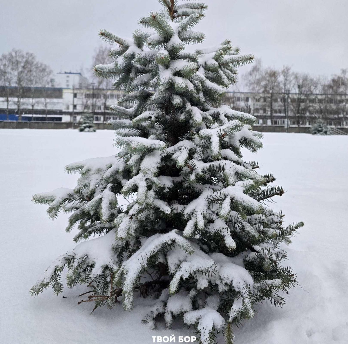 Угадай месяц по фото...