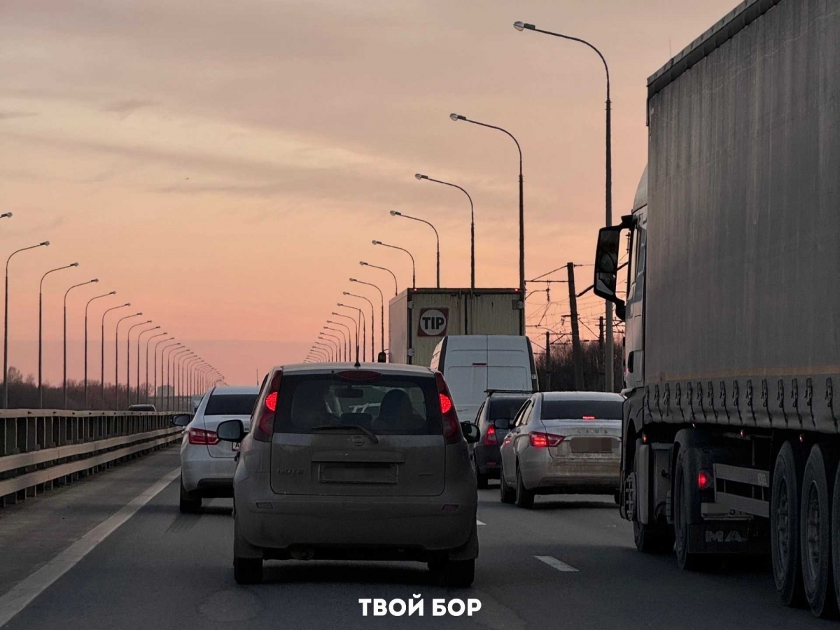 На прошлой неделе на Бору было задержано 5 «потенциальных убийц»