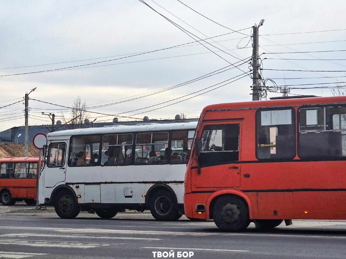 Борский транспорт в цифрах