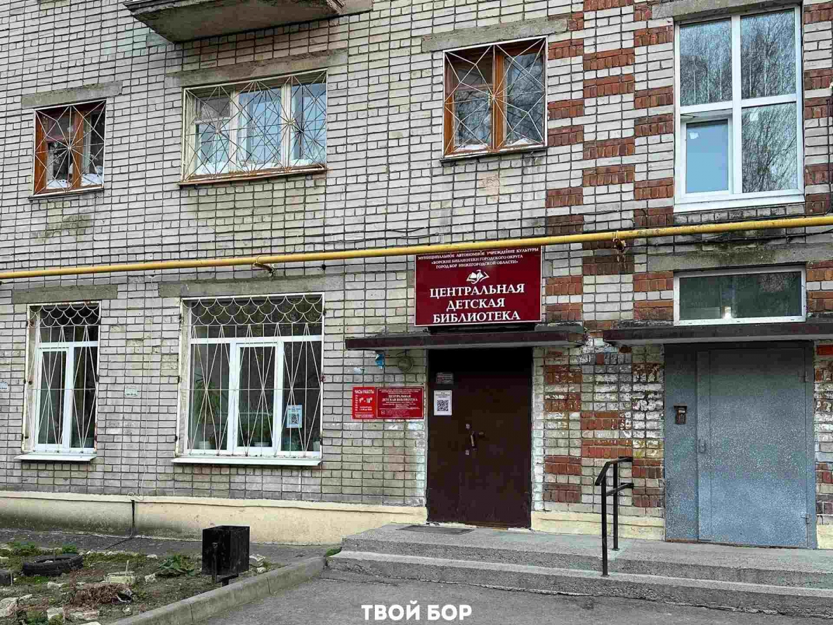 Бор - читающий город?