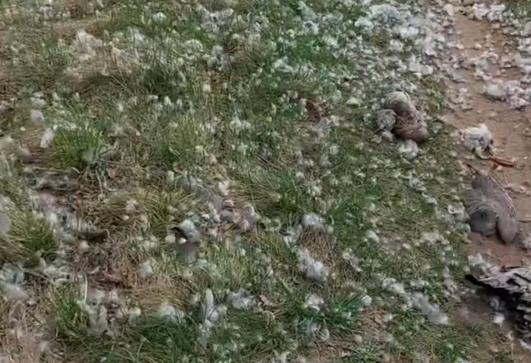 Между 1 и 2 озером в Октябрьском какая-то дичь...