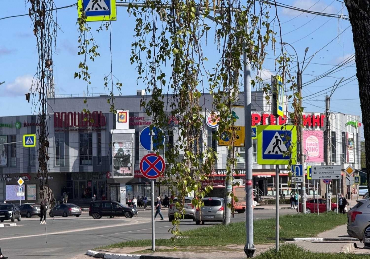 Выходные на Бору не совпадут с тёплой погодой