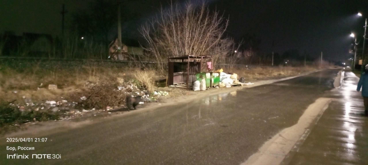 Откуда начать проверку на Бору?