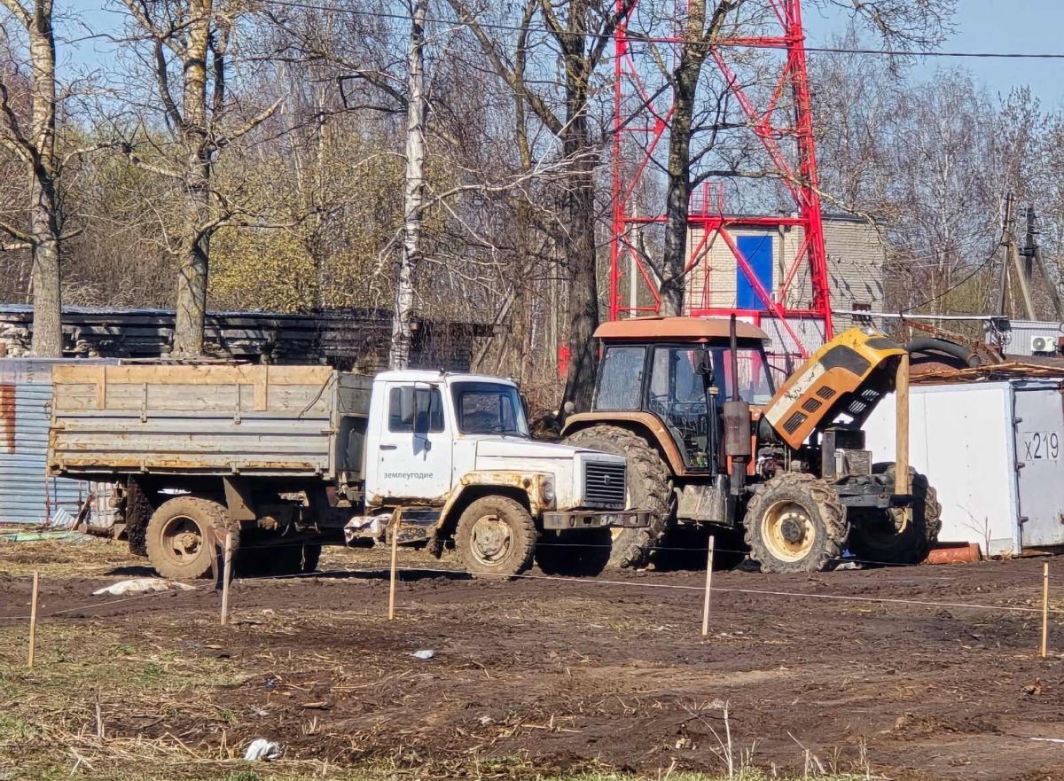 Сельское хозяйство на Бору в цифрах