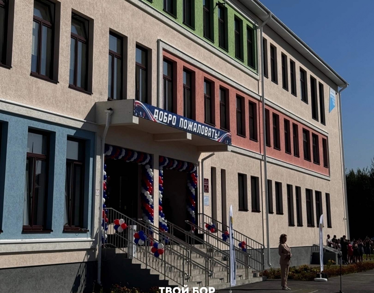 Какие профильные классы есть в борских школах?