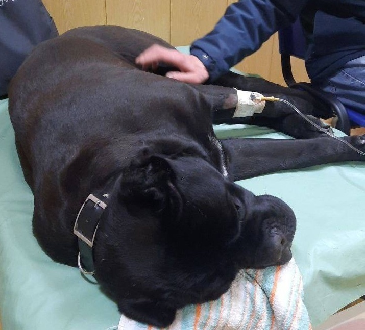 Печальная история от нашей подписчицы