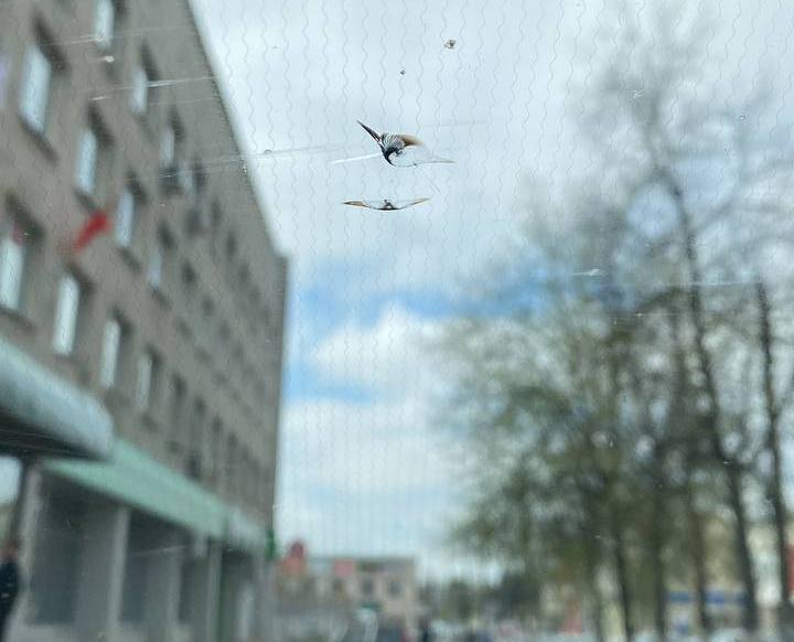 Пост гнева от подписчика