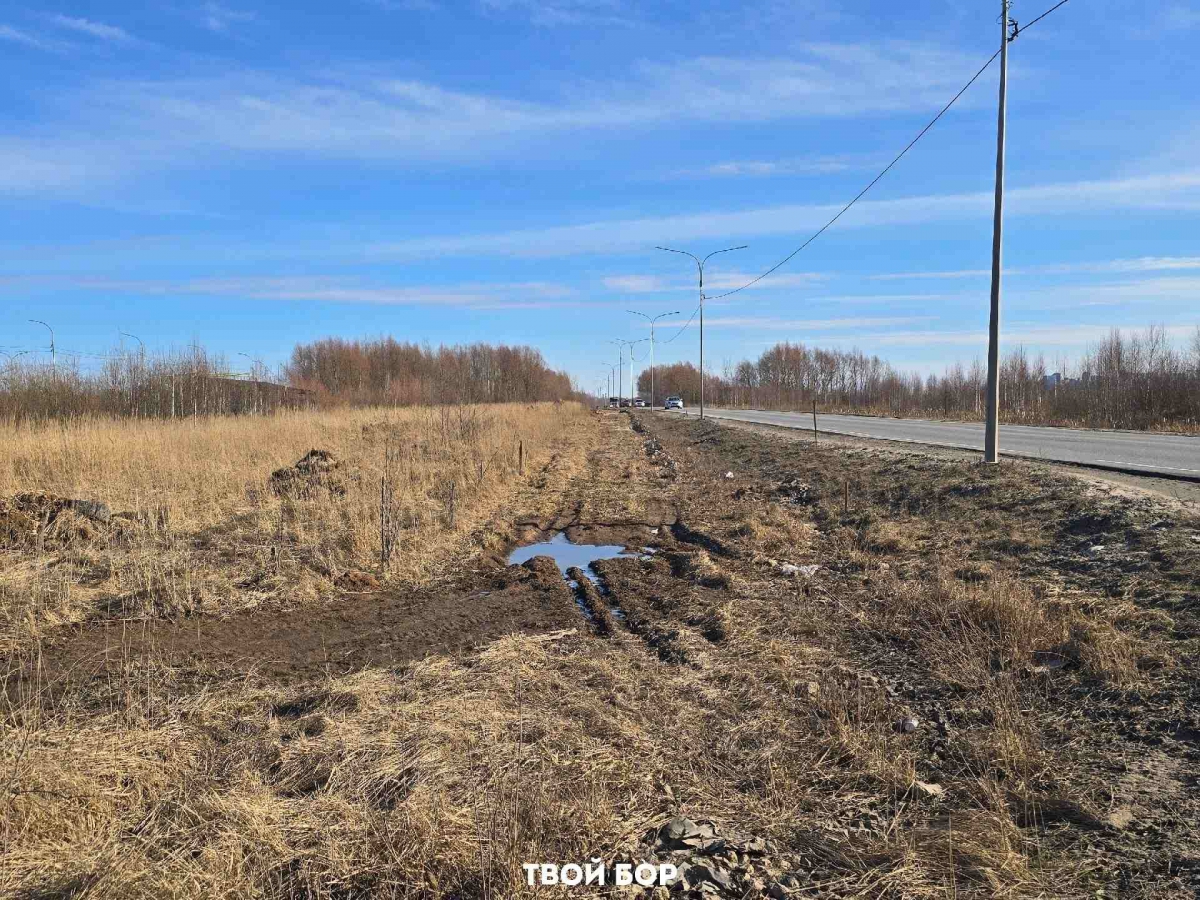 Про велодорожку от Юрасовского