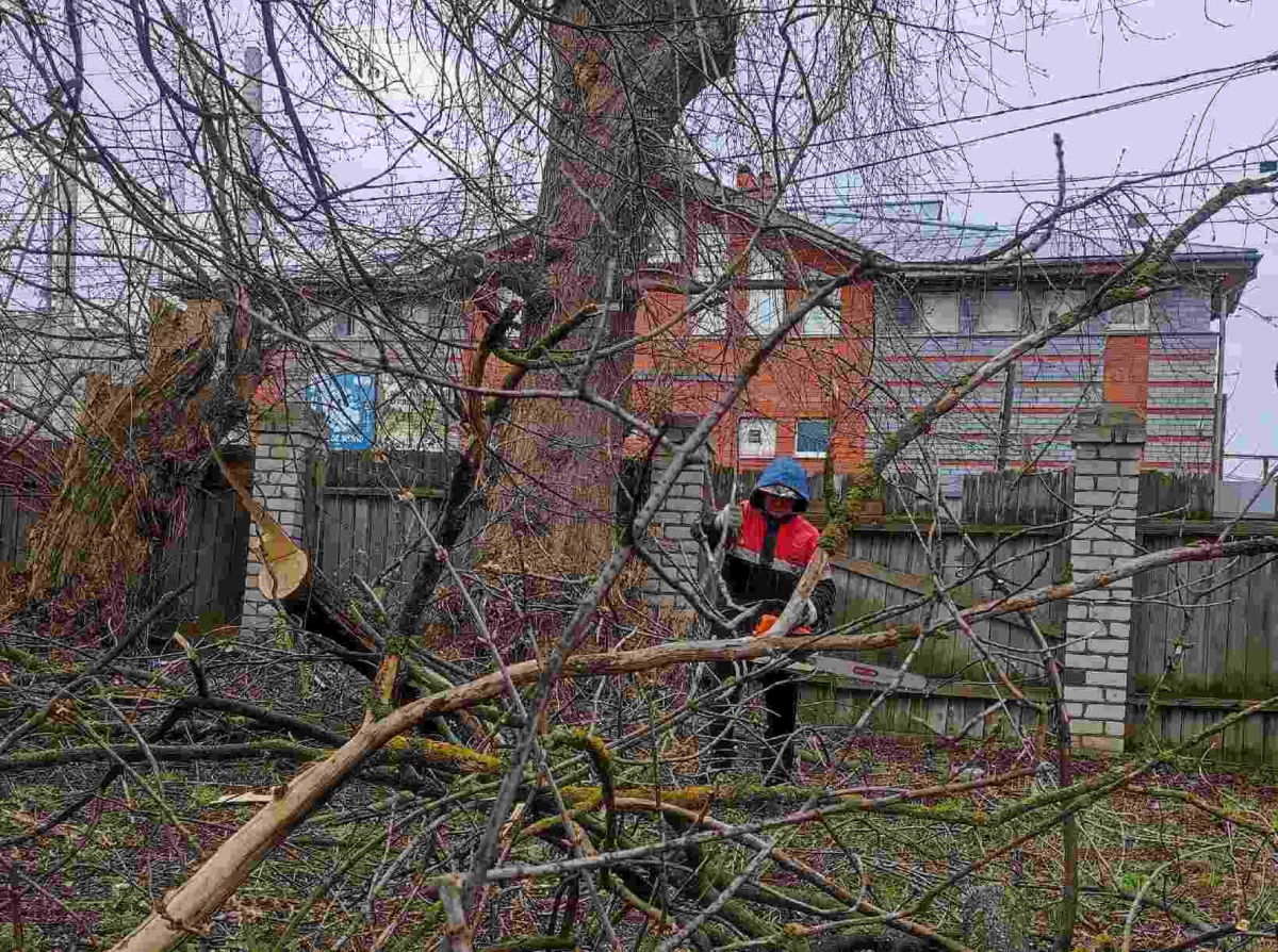 У Борского Краеведческого музея начались работы по благоустройству территории