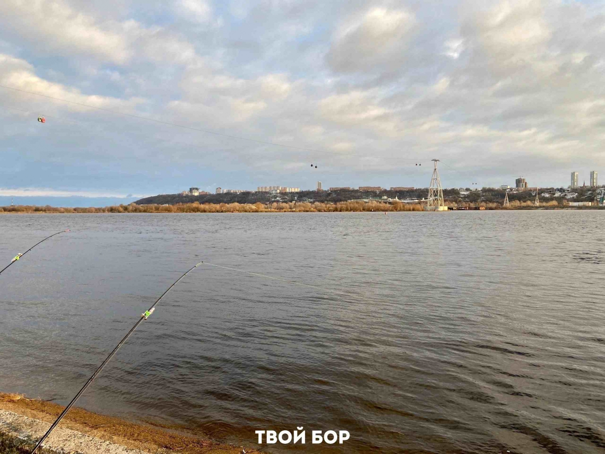 Важная информация для рыбаков