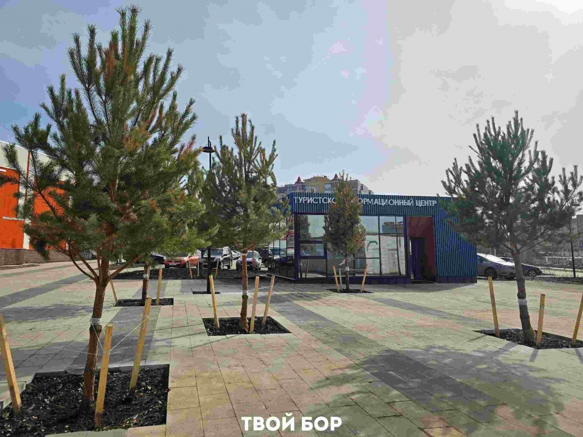 Вот несколько интересных цифр про туризм на Бору