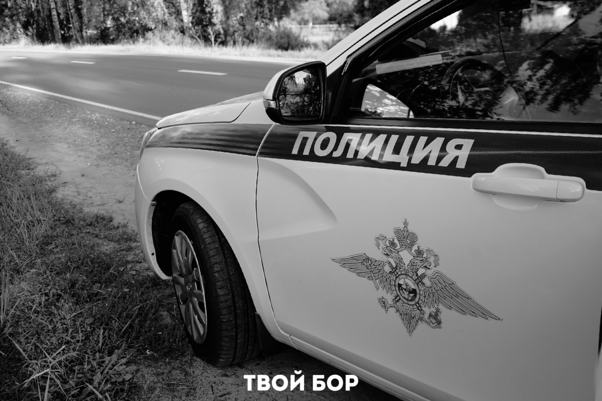 Борчанка осуждена за убийство