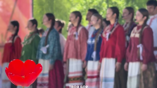 С Днём Победы, город Бор!