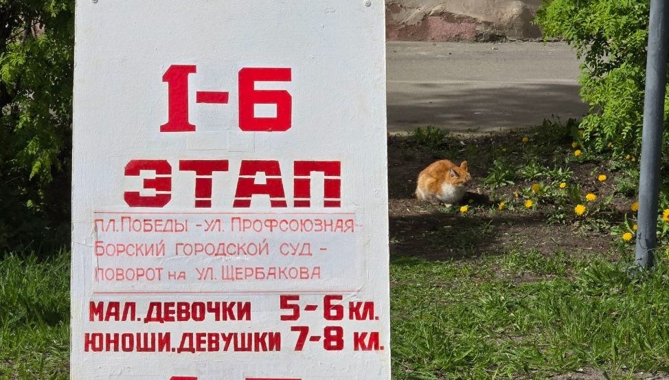 На Бору перекроют дороги