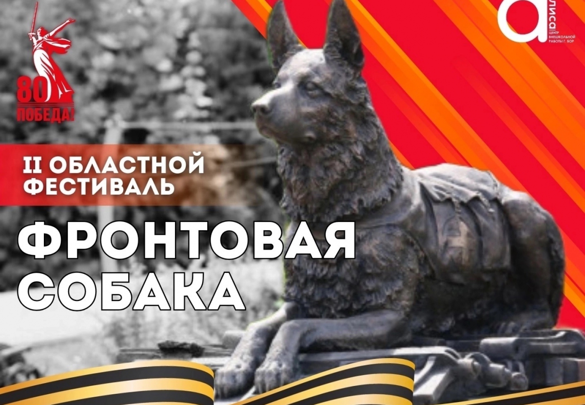 На Бору пройдёт фестиваль «Фронтовая собака»