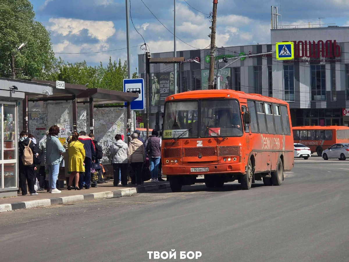 Все познается в сравнении