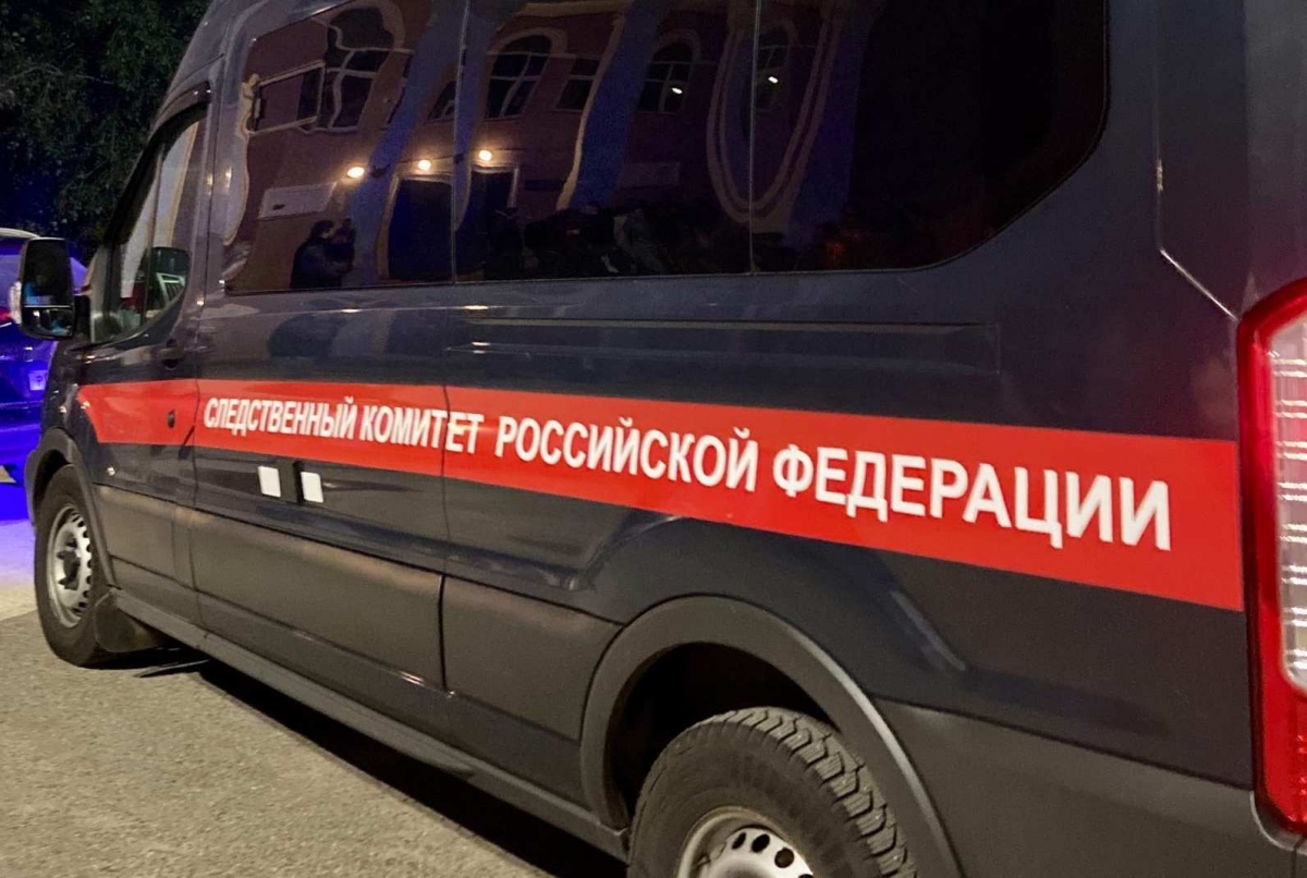 Глава СК РФ заинтересовался борскими проблемами