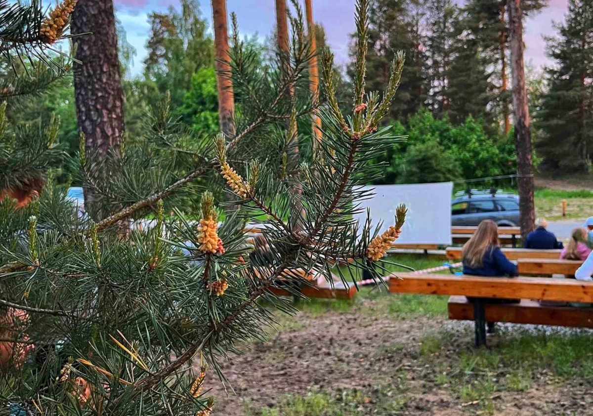 Кинотеатр на Моховых приглашает борчан