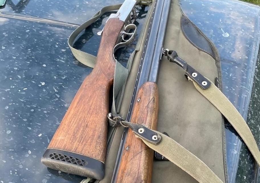 Незаконная охота на кабана в Борском районе