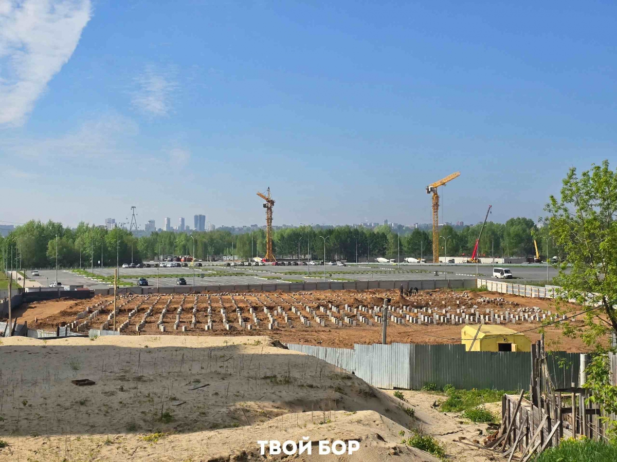 Фото для истории