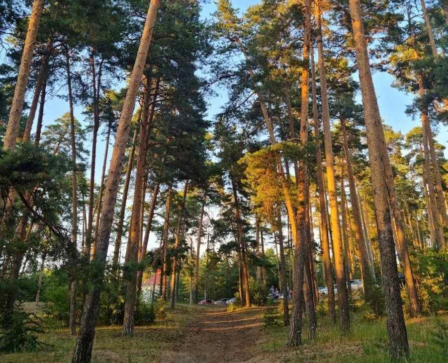 Клещи вышли на активную охоту