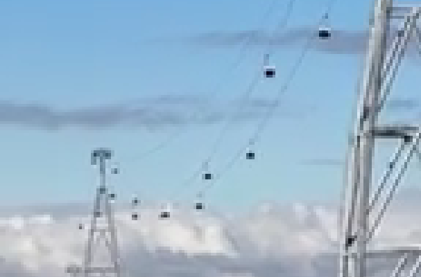 Новый вид канатки