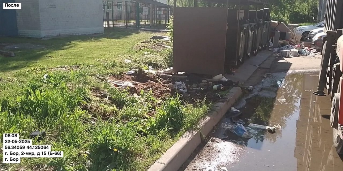 Три красноречивых фото с борской помойки