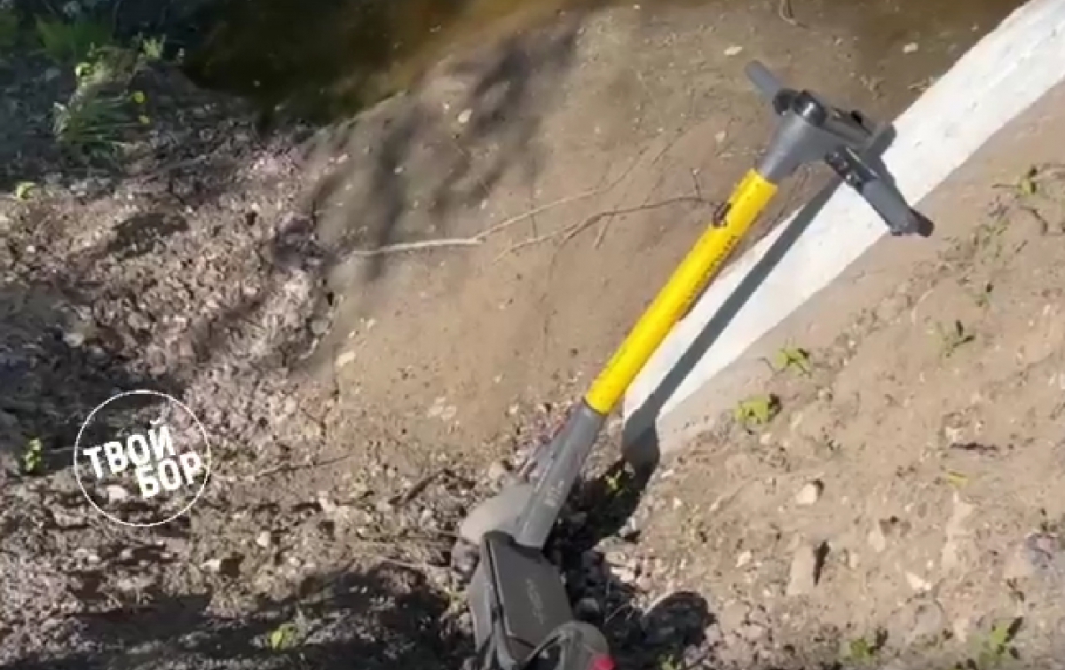 Борчане против самокатов?