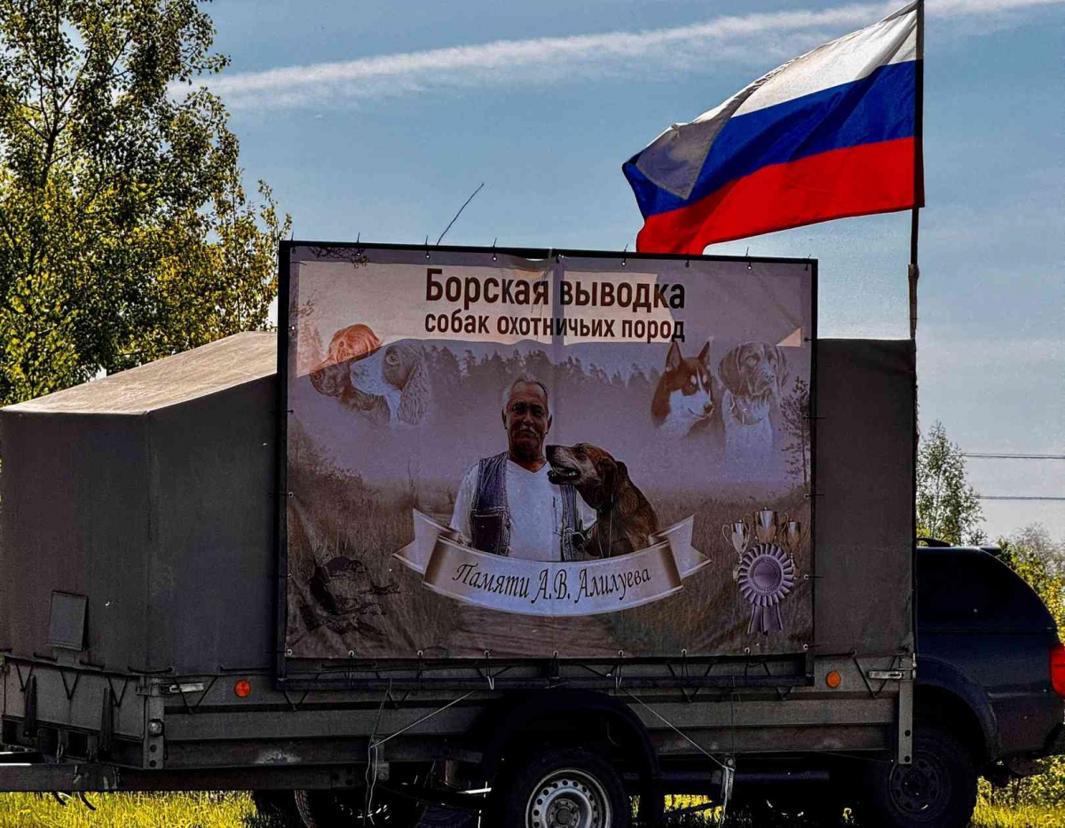 Сегодня на Бору прошла выставка охотничьих собак