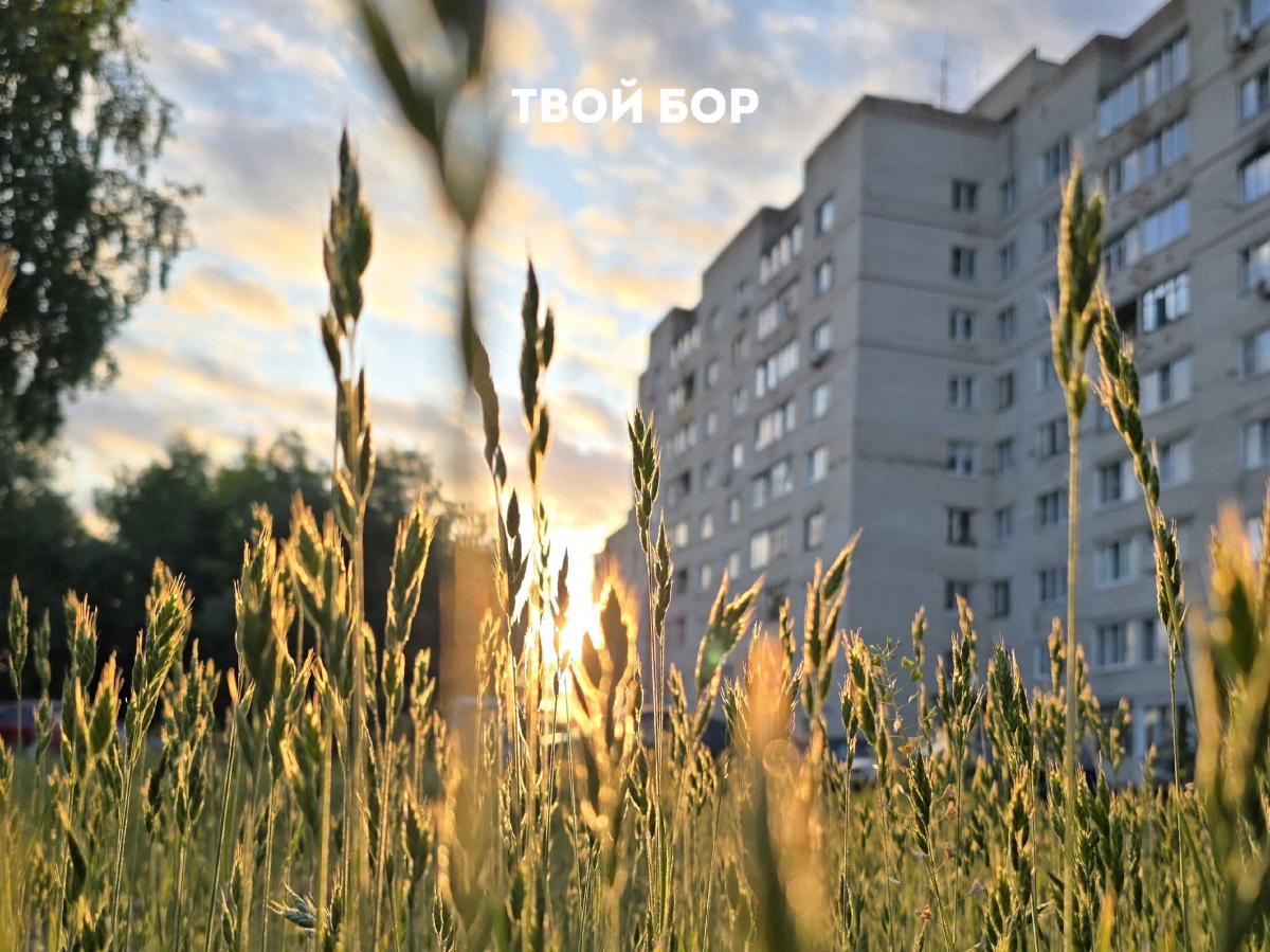 На Бору пройдет смотр-конкурс на самые благоустроенные