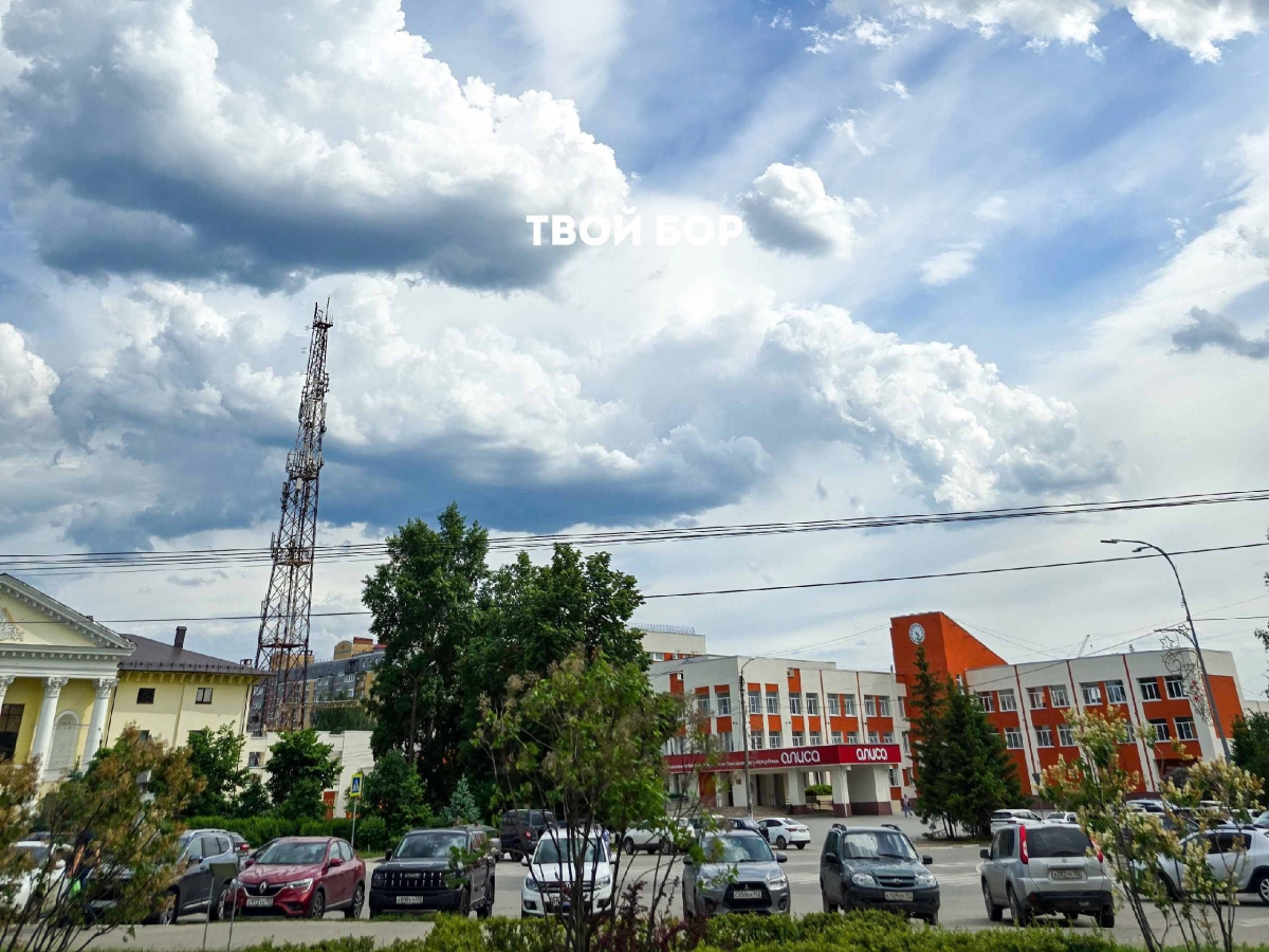 Борчан ждёт пасмурная погода на этой неделе