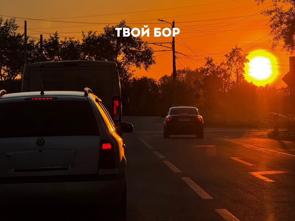 Борчане попросили борчан включать поворотники