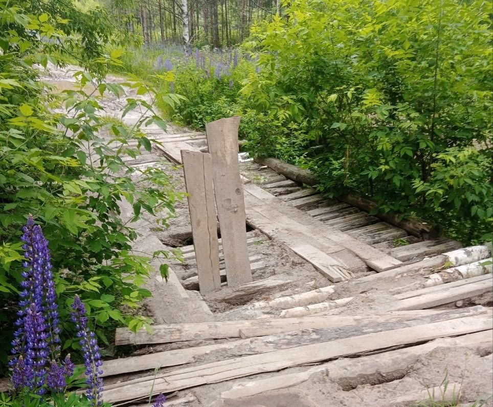 От подписчика с просьбой: