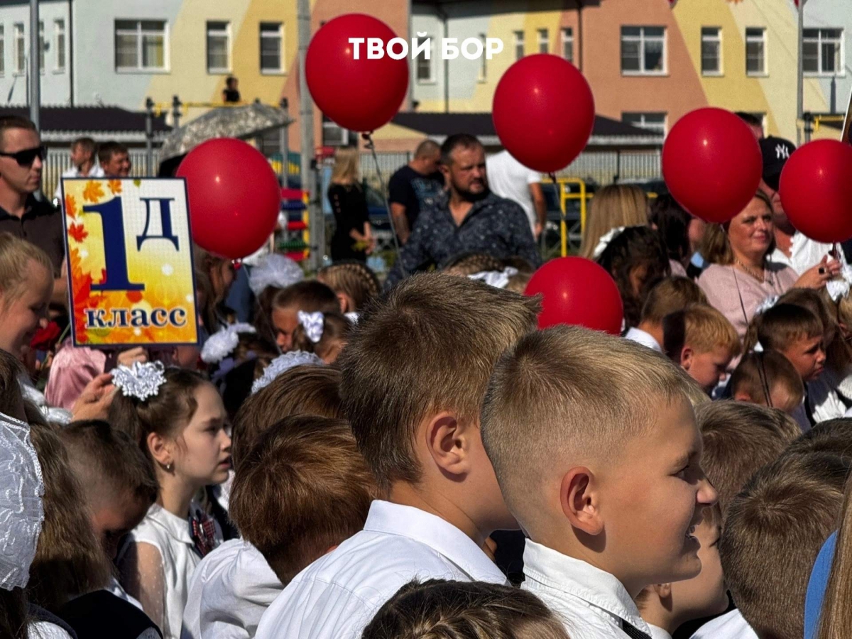 Три хорошие новости для некоторых борских учебных учреждений