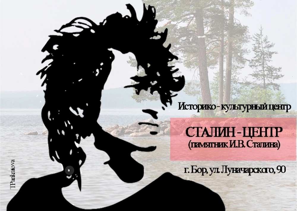 Ко дню рождения Виктора Цоя на Бору пройдёт квартирник «Сосны на моем берегу»