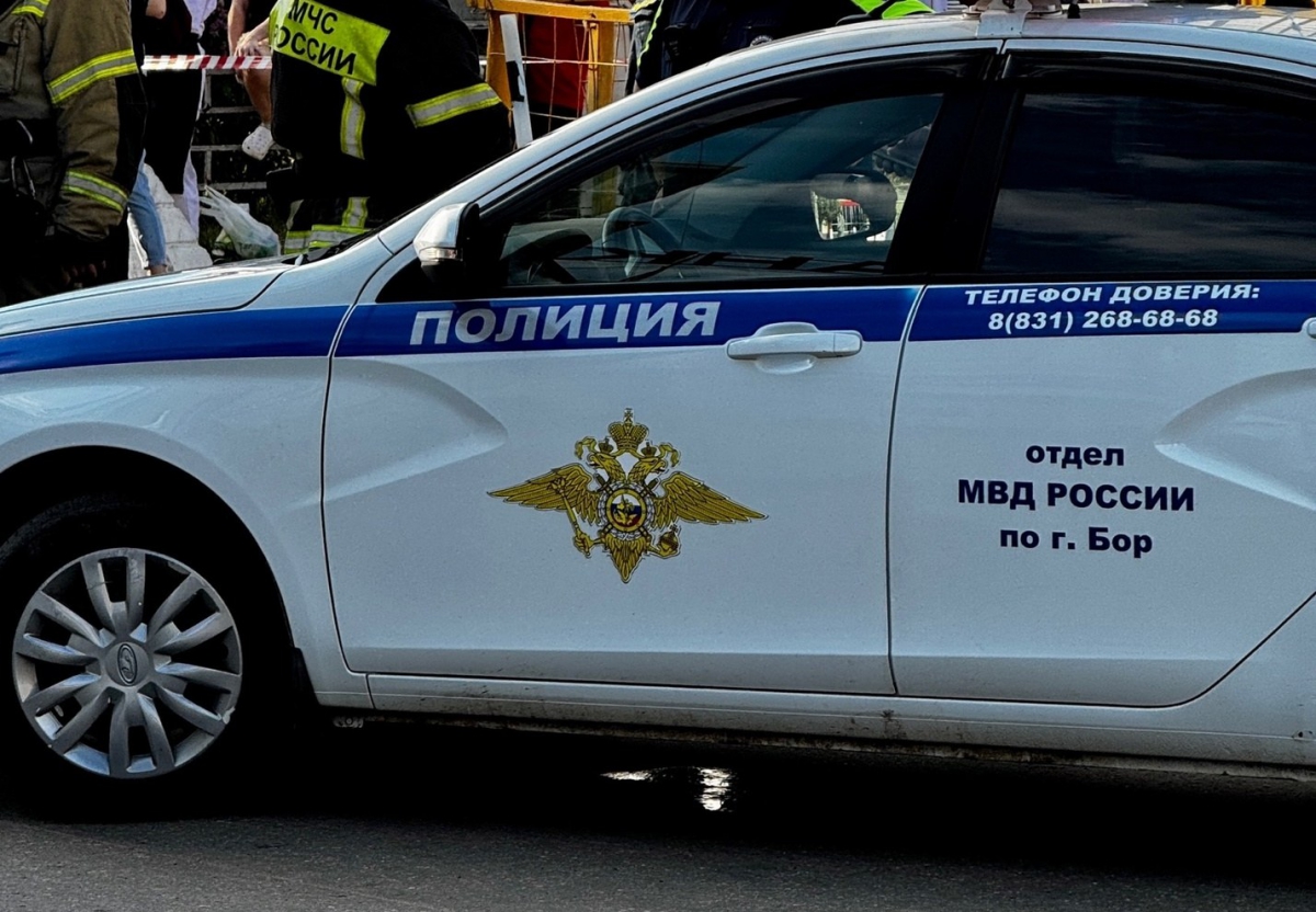 Борчанка получала выплаты на несуществующего ребенка