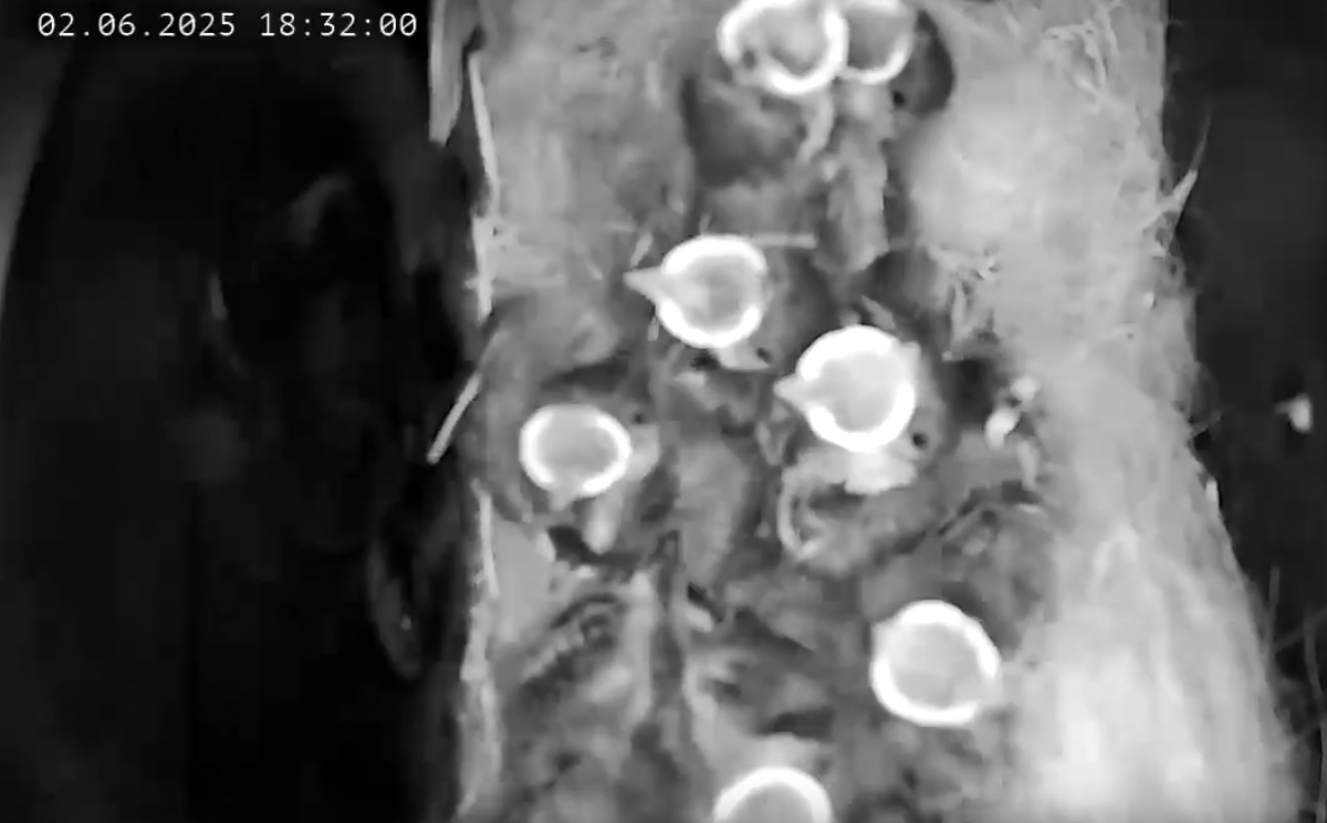 Новости из почтового ящика