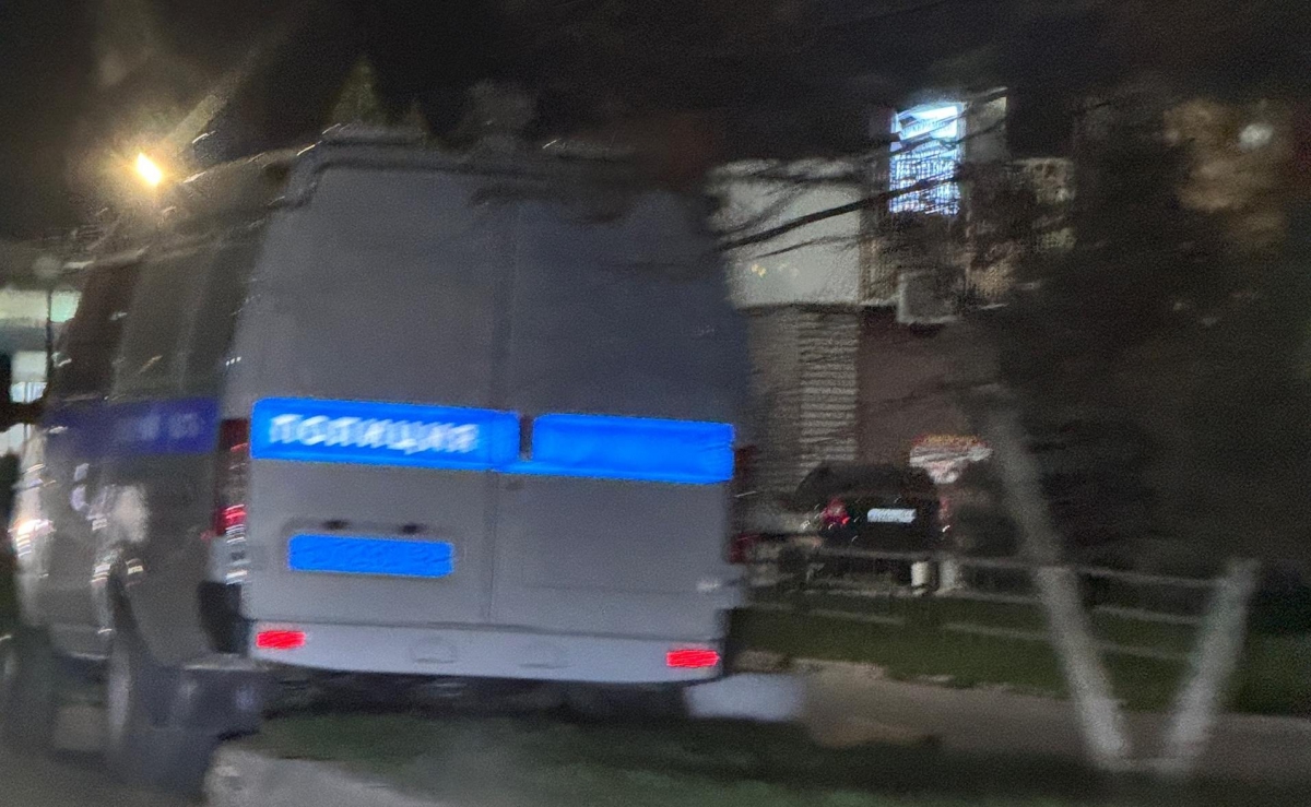 История про борскую горе-мать