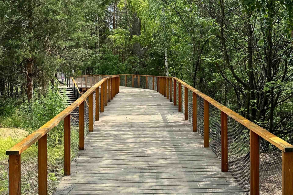 А как бы вы поступили в такой ситуации?