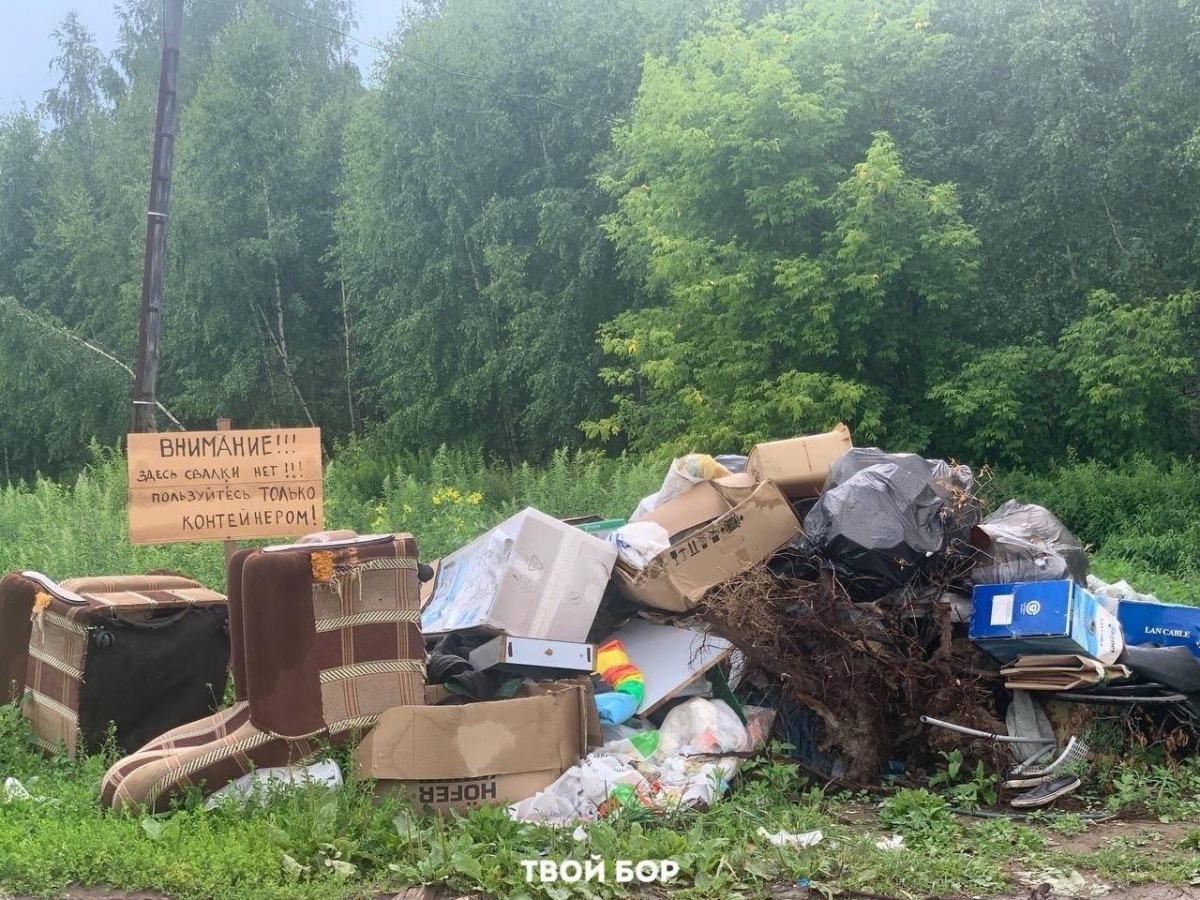 Новые правила обращения с ТКО введут в Нижегородской области